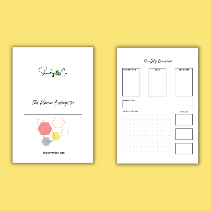 Geometric Planner - Shondy & Co